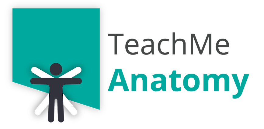 Teach Me Anatomy – دليلك الذكي لاكتشاف أسرار جسم الإنسان خطوة بخطوة