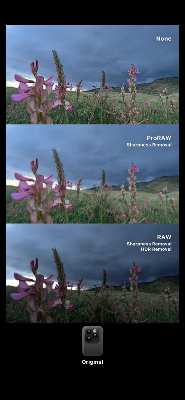 تطبيق Dazz Cam : حول لحظاتك إلى صور وفيديوهات ساحرة!