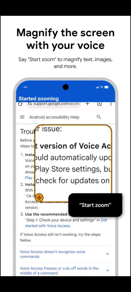 Voice Access